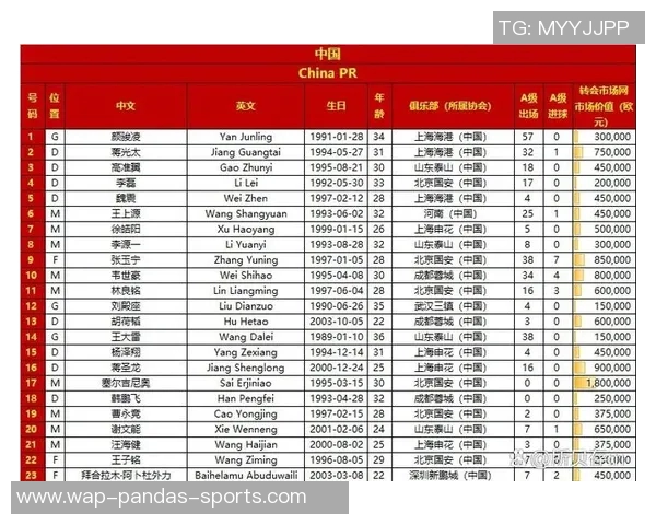 中国足球最新国家队名单分析与球员表现评估